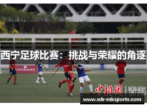 西宁足球比赛：挑战与荣耀的角逐